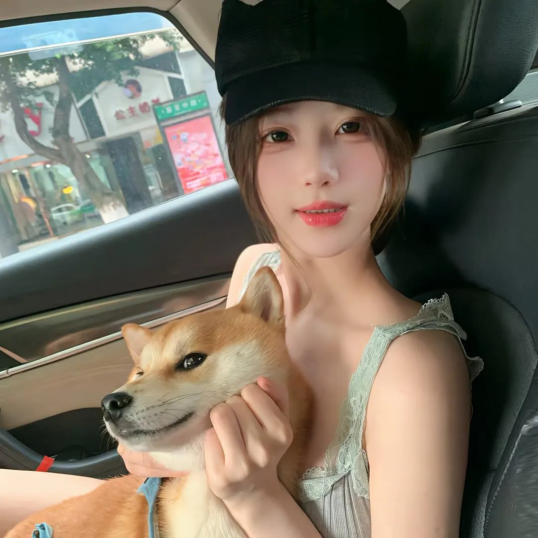 单骑悍盗